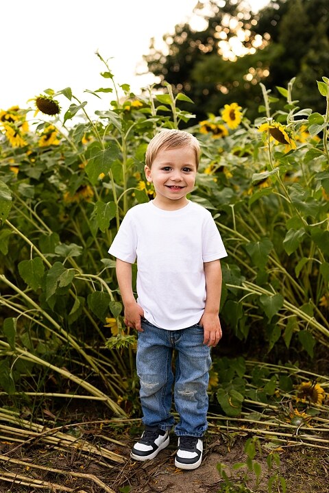 Family of three smiling together in a bright sunflower field during summer | Little boy grinning while standing among tall sunflowers
 | Parents holding their son and laughing in golden evening light | Family hugging closely surrounded by blooming sunflowers