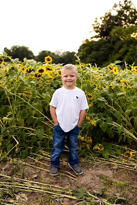 Blended family smiling together in a sunflower field during a summer mini session | Mom and children laughing among tall sunflowers in warm evening light | Parents holding hands and smiling in a bright sunflower patch | Close up of family hugging with golden blooms surrounding them