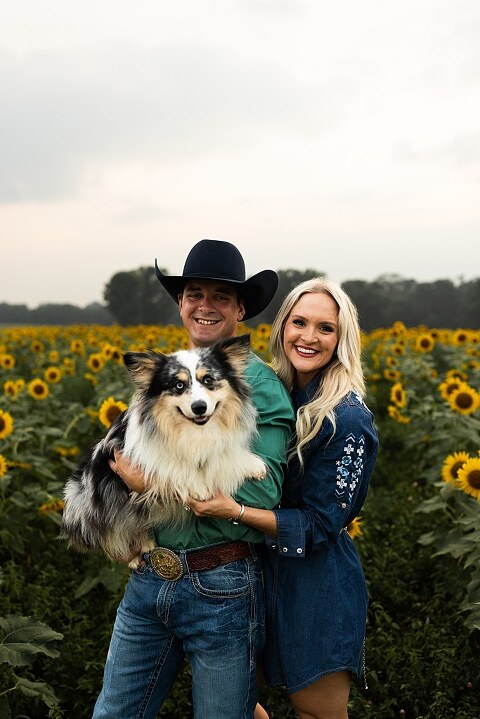Couple standing together in a sunflower field during sunset in Jonesburg Missouri | Dog sitting in front of sunflowers with golden evening light | Couple laughing while holding their dog in a sunflower field | Sunflower Mini Photo Shoot with couple and dog at golden hour | Dog running through sunflower rows during family photo session | Missouri Sunflower Photographer