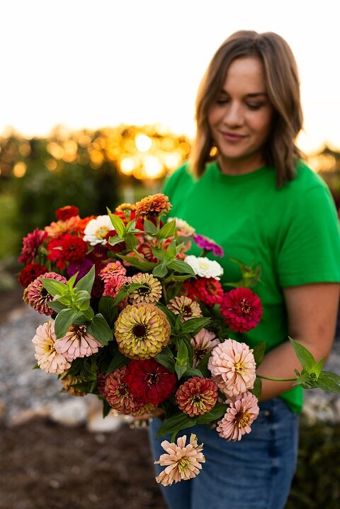Aimie standing in her flower garden in High Hill Missouri surrounded by colorful blooms.
Close–up of Aimie gently holding freshly cut flowers from her garden.
Wide view of the flower farm with rows of vibrant summer flowers.
Aimie smiling while arranging flowers during her garden session.
Hands holding a bouquet of freshly picked flowers in soft natural light.