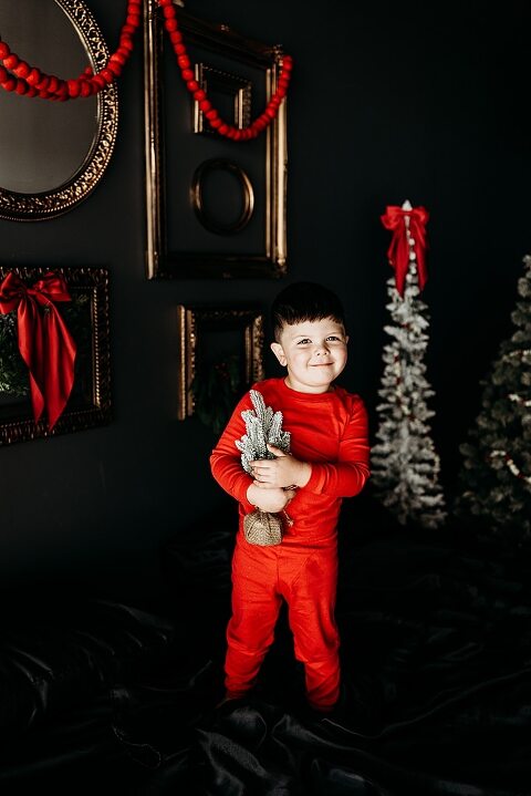 Moody Christmas mini session setup with black bed, snowy Christmas trees, cranberry and popcorn garland, and gold and red holiday accents in a Lake St Louis studio